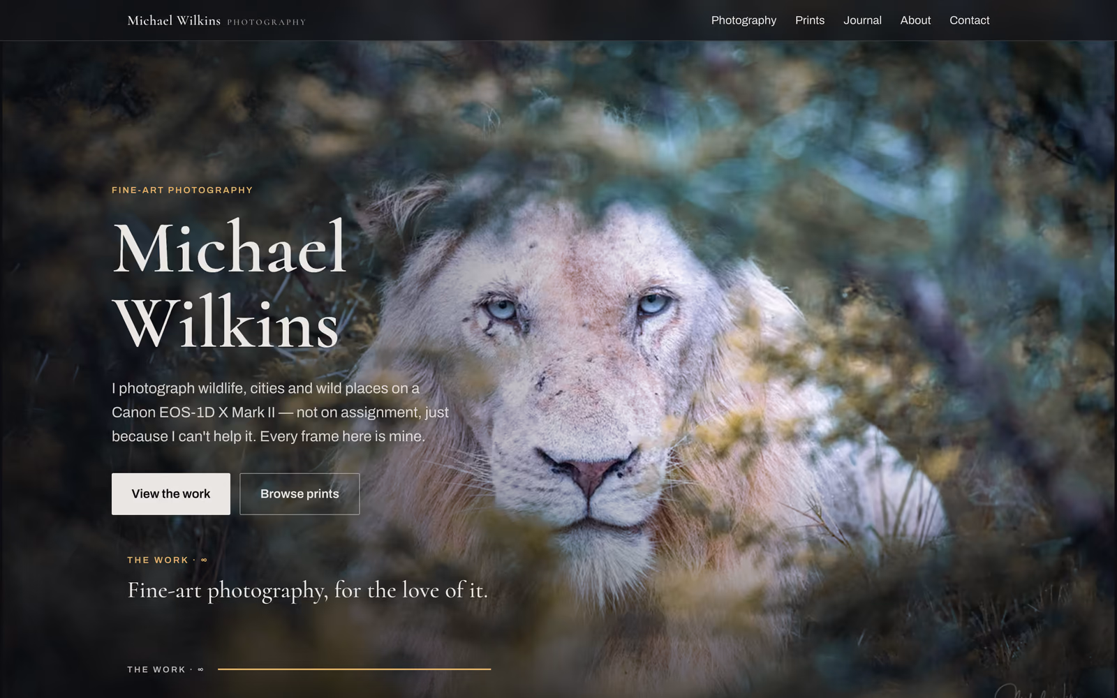 Where the film lands: a white lion in thornbush behind the site's name, with buttons to view the work and browse prints