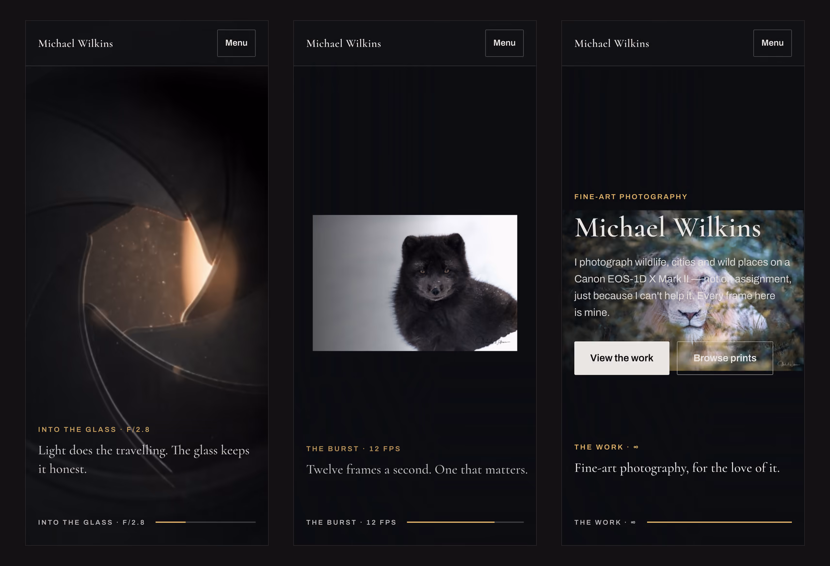Three phone frames from the film: the aperture, an arctic fox in the snow and the white lion