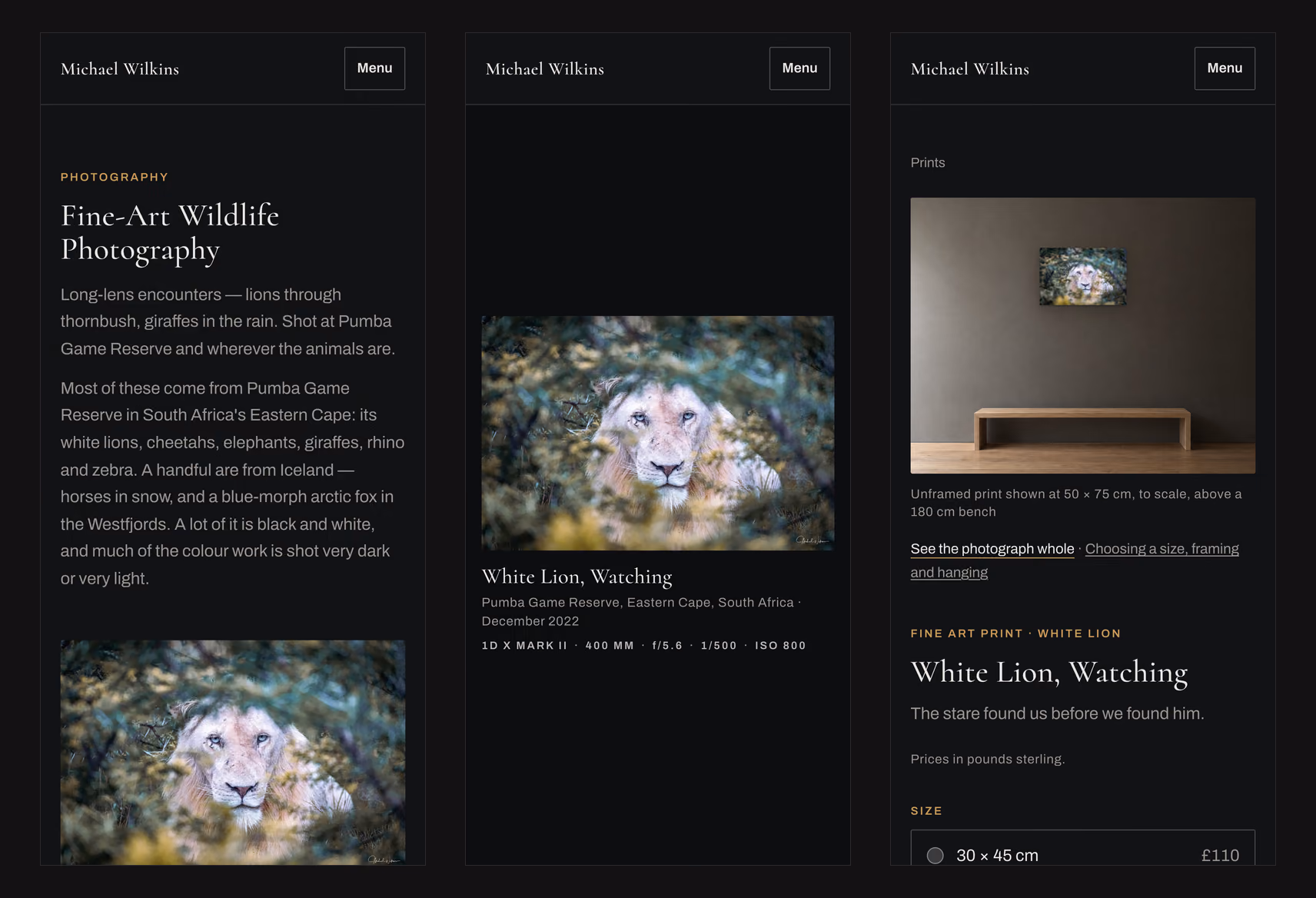 Three phone screens: the wildlife gallery, the white lion's own page and its print