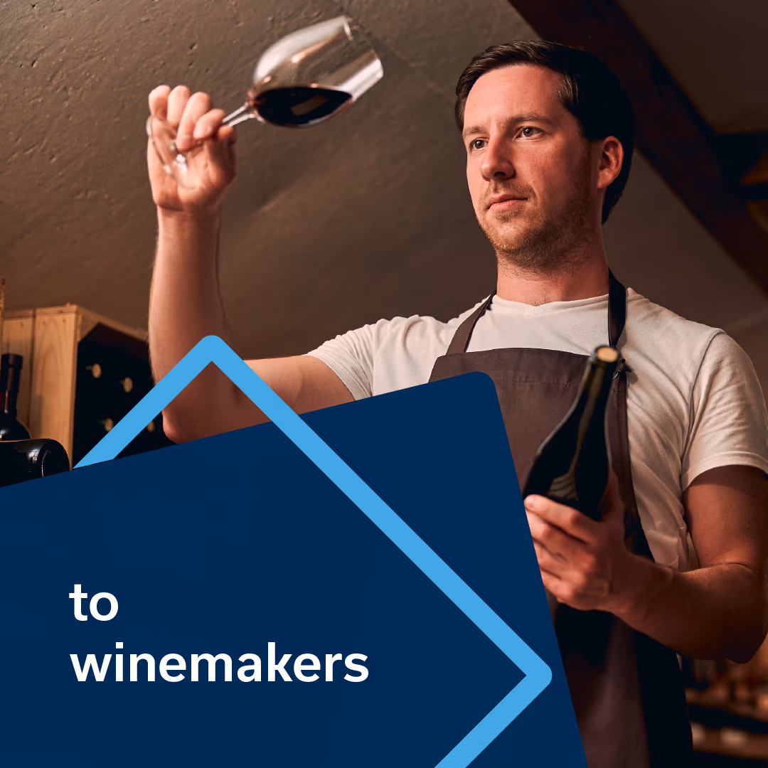 Steadfast campaign creative for winemakers